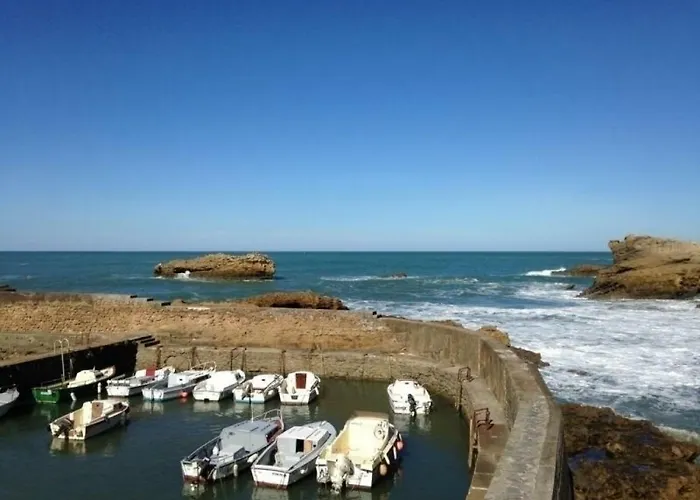 Air Marin - - 70 Metres De La - Ocean View - Hypercentre Lejlighed Biarritz